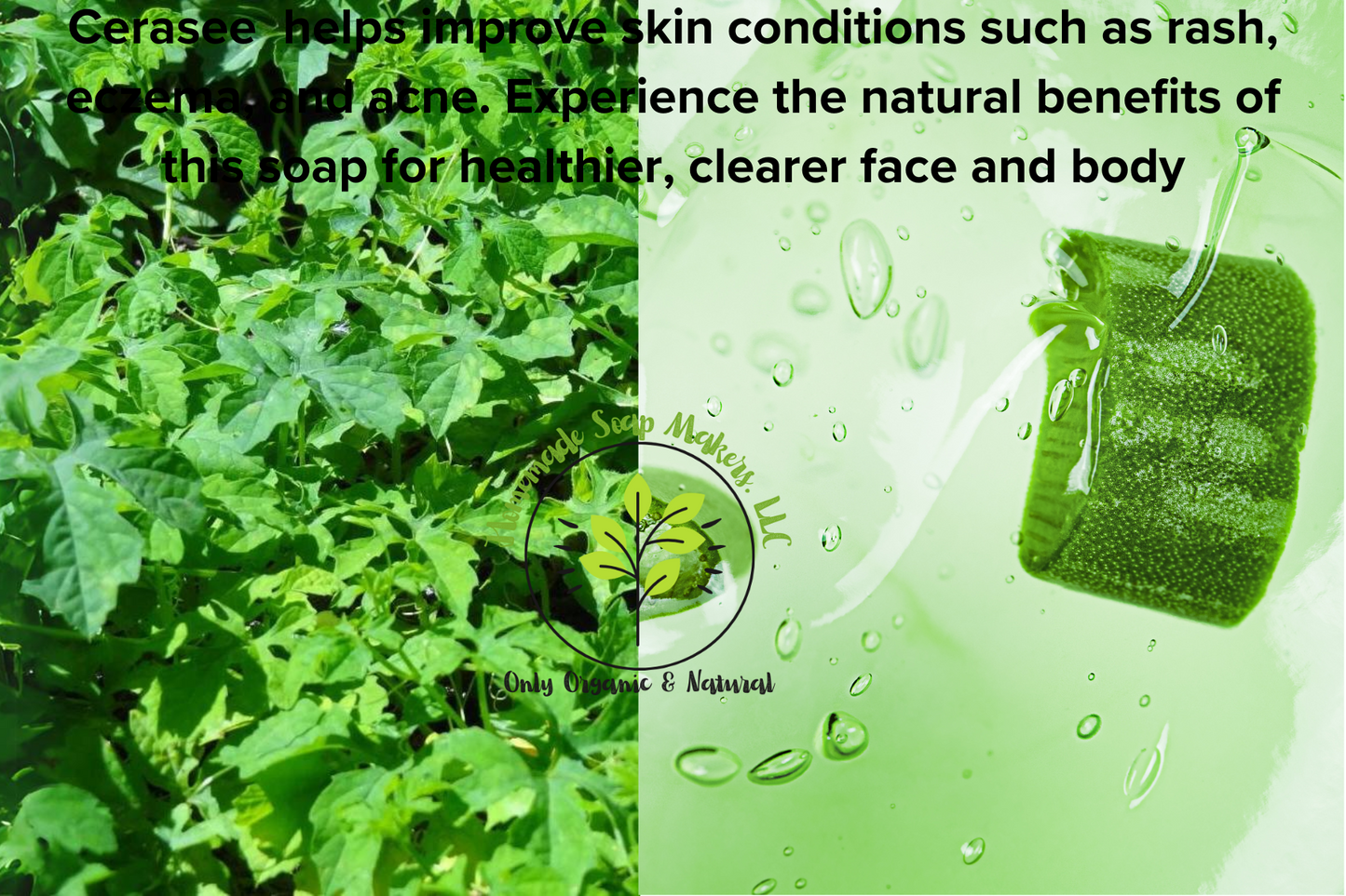 Organic Cerasee (Asosi) and Aloe Vera Soap for Dark spots, Eczema and Acne Face and Body Soap
